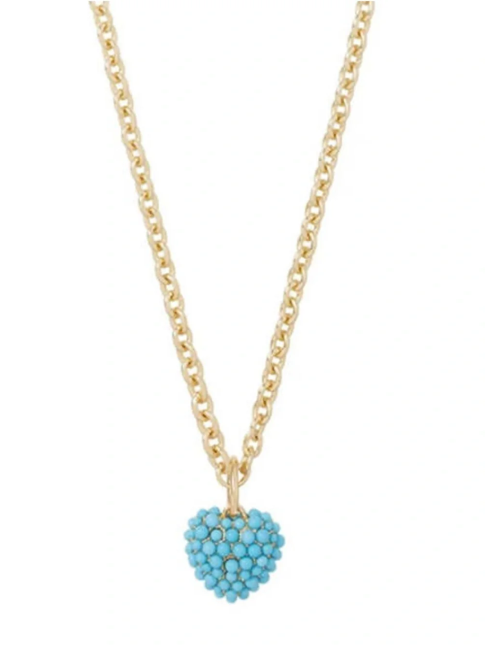 NWOT Roxanne Assoulin long Necklace with Turquoise Heart Charm